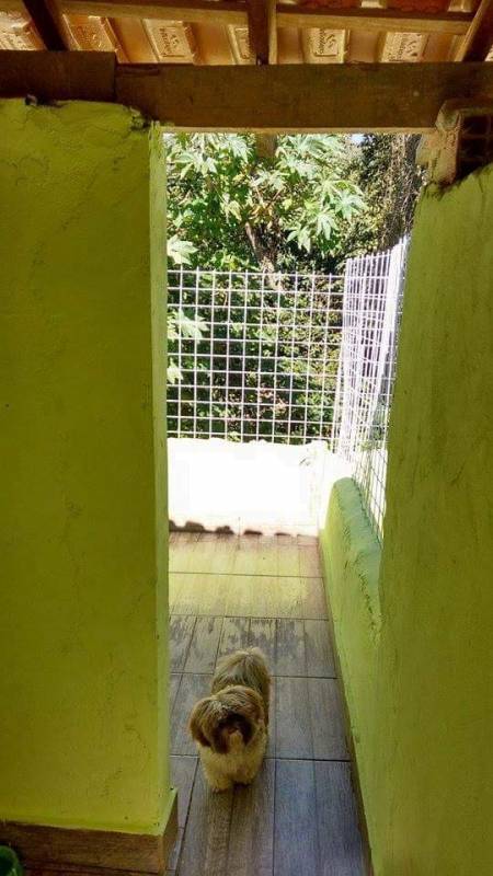 Quanto Custa Adestrador e Hotel para Cães Granja Viana - Adestrador e Hotel para Cães