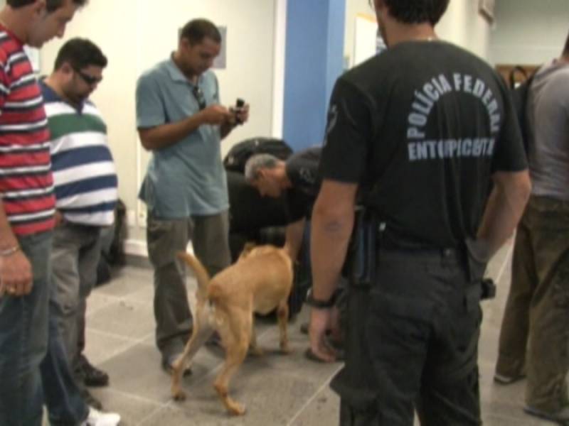 Quanto Custa Cães Farejadores Aeroporto Raposo Tavares - Cães Farejadores Aeroporto