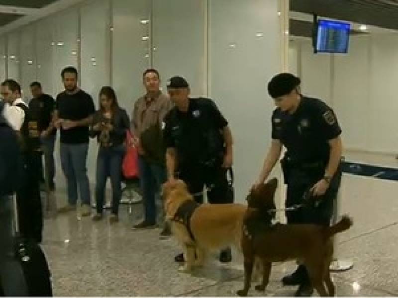 Quanto Custa Cão de Faro Receita Federal Jaguaré - Serviços de Cães Farejadores