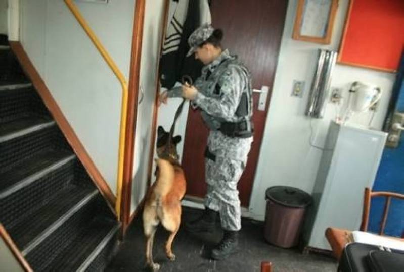 Quanto Custa Cão Farejador de Aluguel Vila Olímpia  - Cão Farejador de Armas