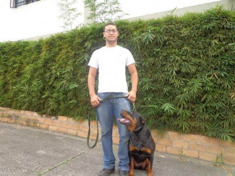 Quanto Custa Curso de Condução de Cães Higienópolis - Curso de Adestramento de Cães