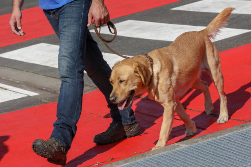 Segurança com Cães Adestrados Preço Santana de Parnaíba - Cão de Segurança de Aluguel