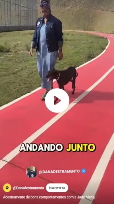 Dan Adestramento