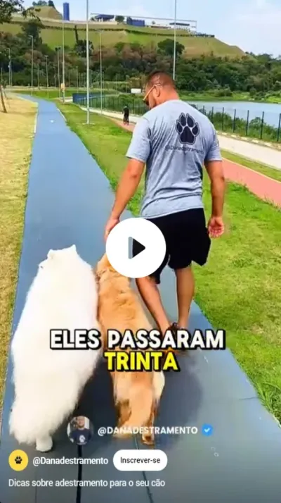 Dan Adestramento
