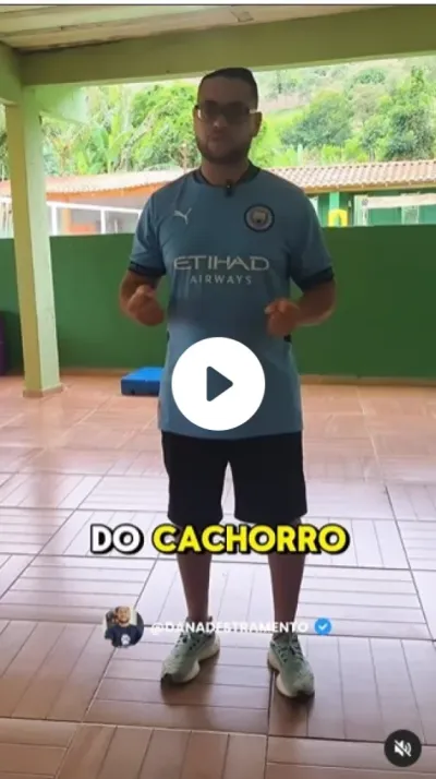 Dan Adestramento
