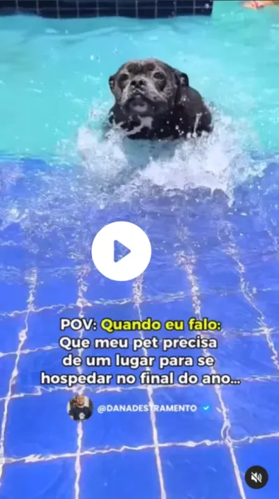 Dan Adestramento