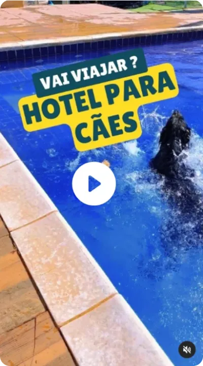 Dan Adestramento