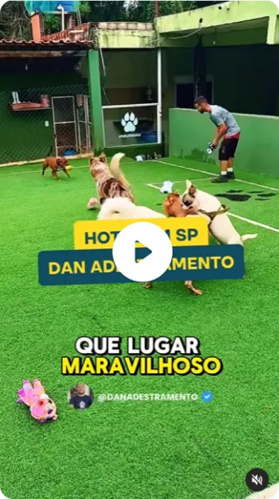 Dan Adestramento