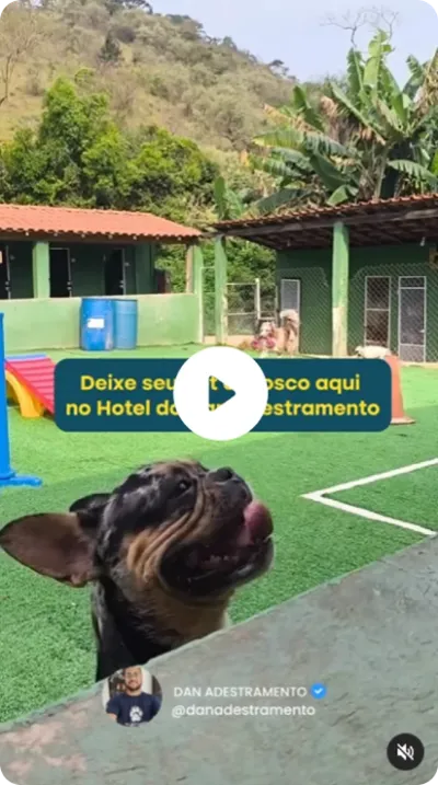Dan Adestramento
