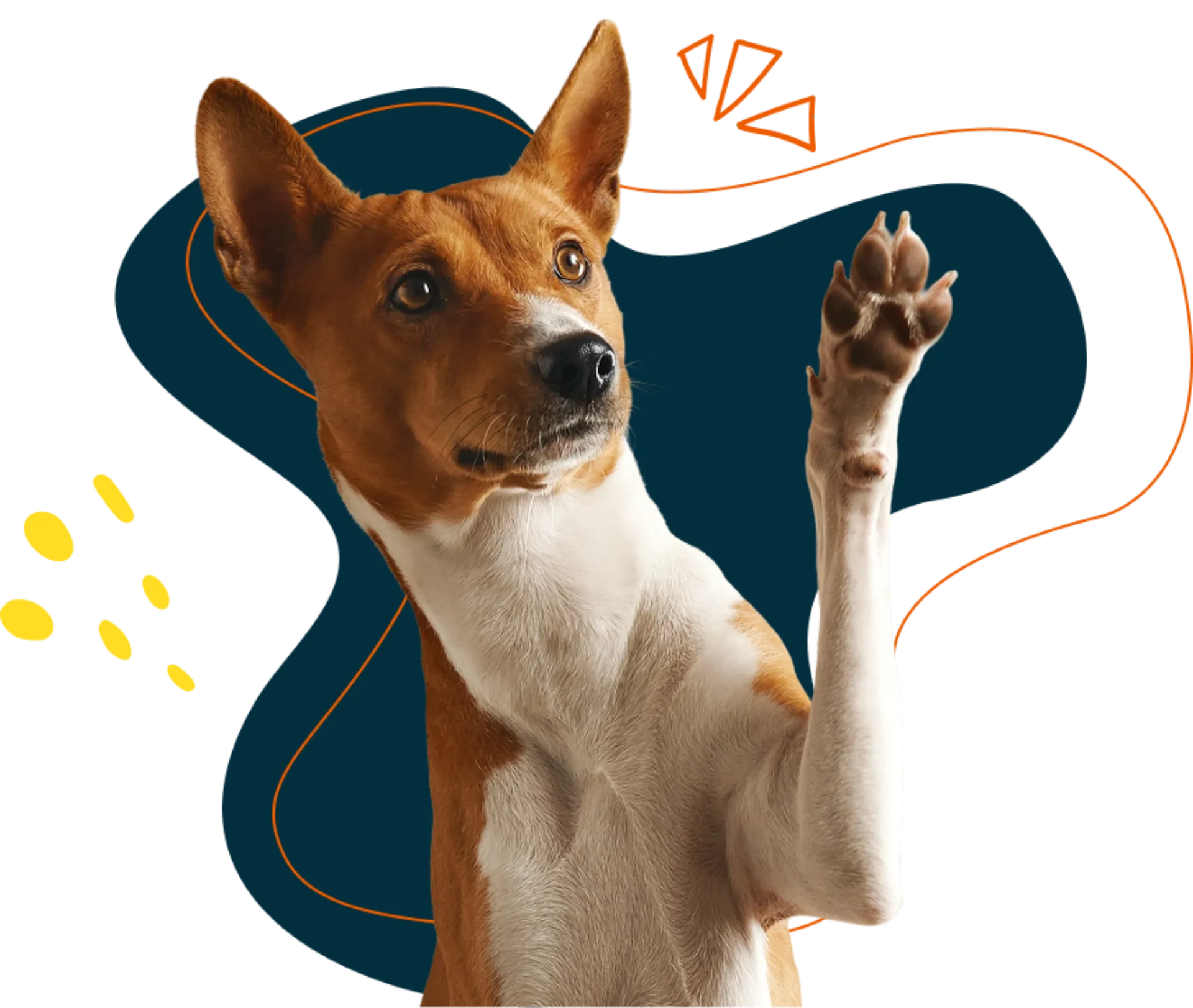 Ilustração de um pet