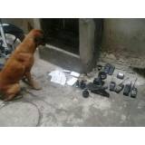 adestrador para cães de faro preço Butantã