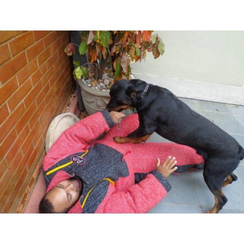 cão de guarda para locação Alto da Lapa