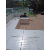 creche e hotel para cachorro contato Jaguaré