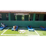 creche para cachorros contato Butantã