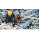 curso de condução de cão de faro preço Alto da Lapa