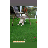 hotel com hidro para cachorros em SP Osasco