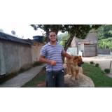 locação de cães de segurança adestrados Vila Mariana