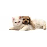 onde encontro spa canino Vila Madalena