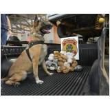 orçamento de cachorro farejador de pessoas Higienópolis