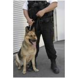 orçamento de serviços de cães farejadores Barueri