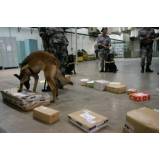 orçamento de treinar cão para farejar Vila Mariana