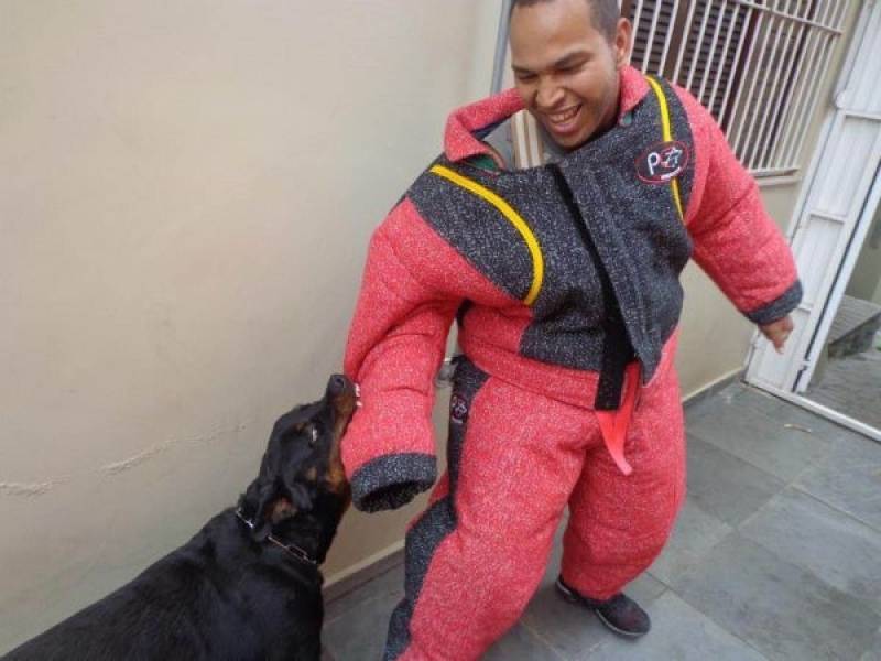 profissional para adestrar cachorro fazer necessidades lugar certo Carapicuíba