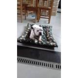 quanto custa adestrador comportamental de cachorro Tamboré