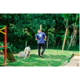 quanto custa adestramento básico de cães Alto da Lapa