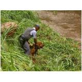 quanto custa cão farejador de pessoas perdidas Vila Maria