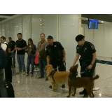 quanto custa curso de condução de cão de faro Granja Viana