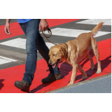 segurança com cães adestrados preço Higienópolis