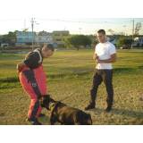 Segurança com cães