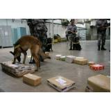 treinador de cães farejadores de droga Rio Pequeno