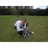 treinamento de cães de raça valor Vila Mariana