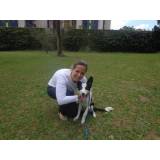 treinamento de cães de raça valor Osasco