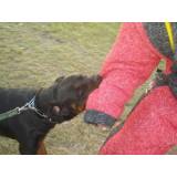 treinamento de cães em SP quanto custa Rio Pequeno