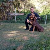 treinamento intensivo para cachorro de guarda preço Alphaville