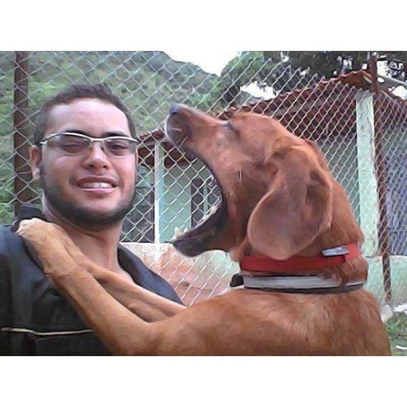 Treinador para Cães Raposo Tavares - Treinamento de Cães em SP