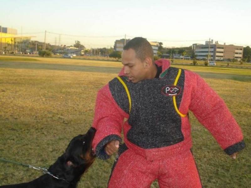 Treinadores para Cães Alphaville - Treinamento para Cães