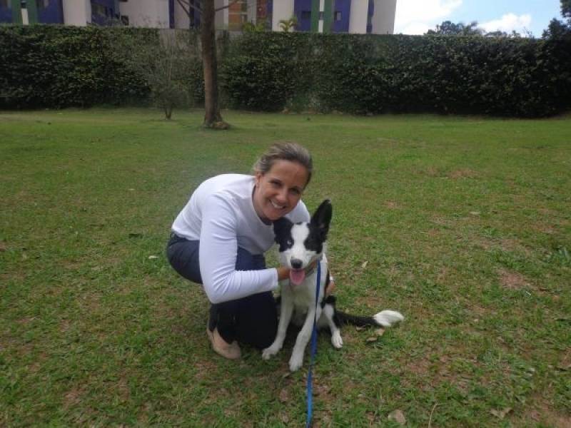 Treinamento de Cães de Raça Valor Santana de Parnaíba - Treinador de Cães