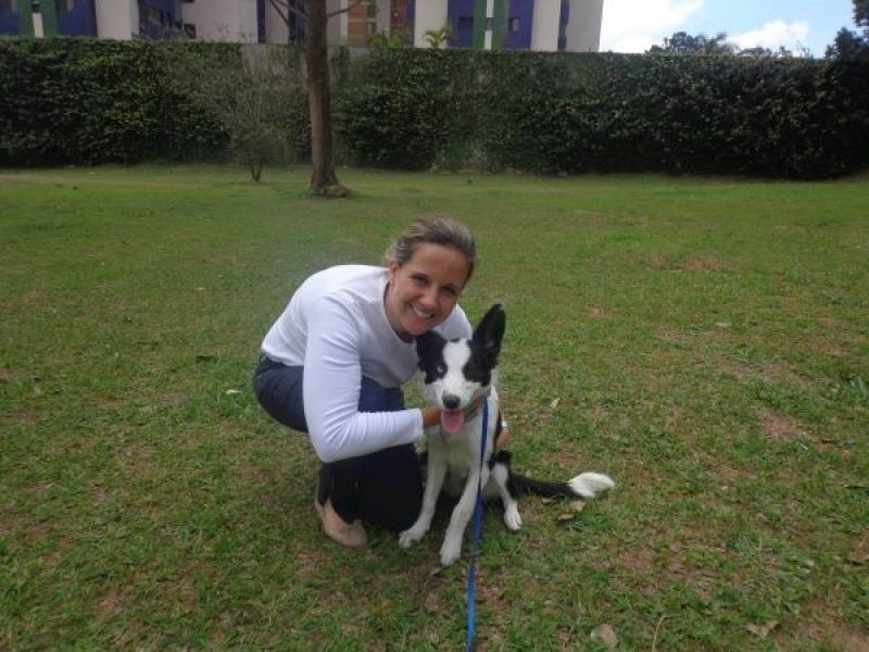 Treinamento de Cães de Raça Valor Vila Maria - Treinador de Cães