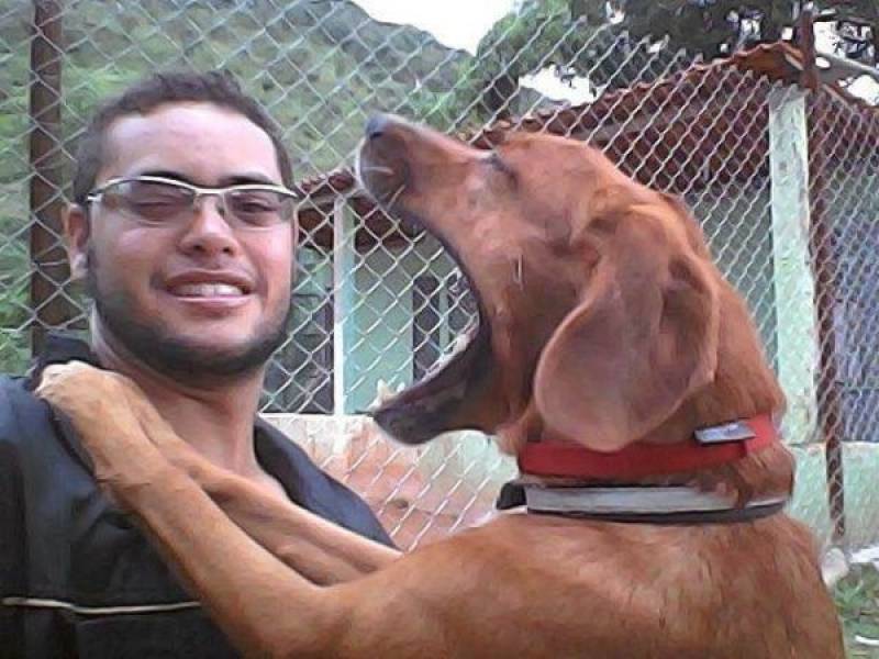 Treinamento de Cães em SP Preço Jardim Bonfiglioli - Treinamento para Cão