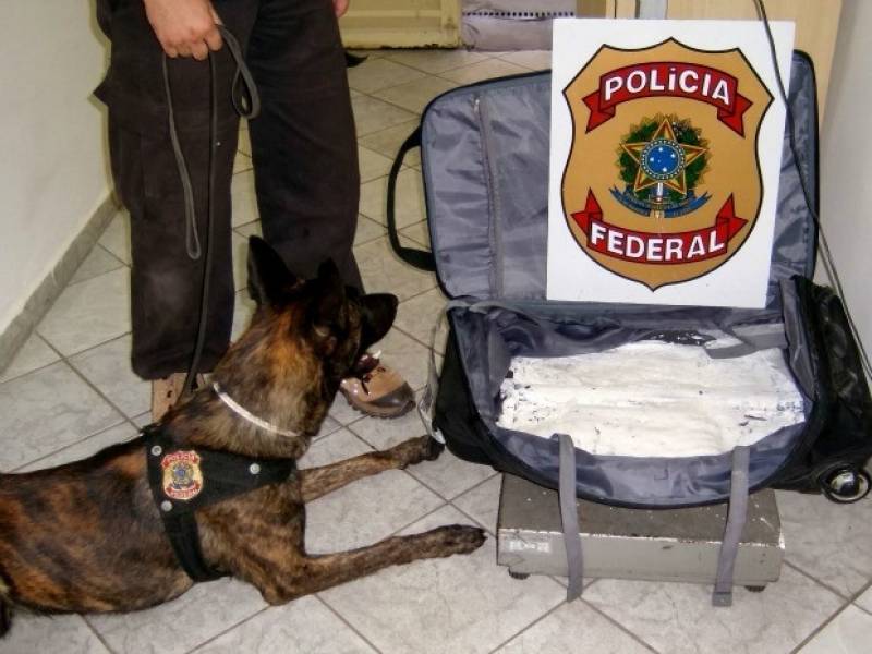 Treinamento para Cachorro Farejador Raposo Tavares - Treinador de Cães Farejadores de Droga